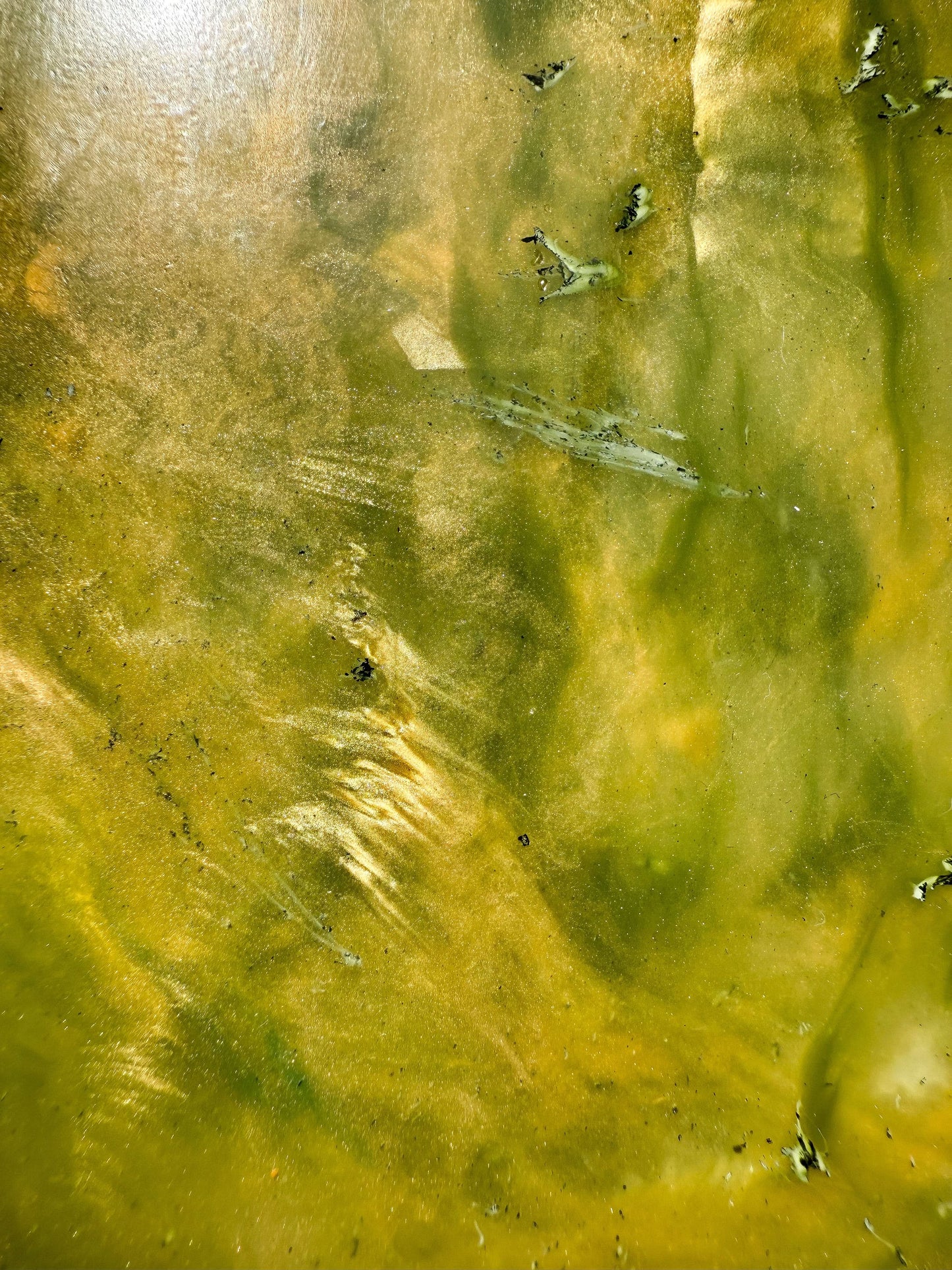 Christmas Edition Set